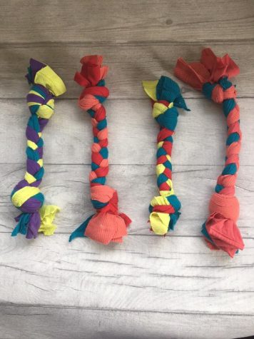 Key Club is Making Dog Toys to Benefit the Humane Society
