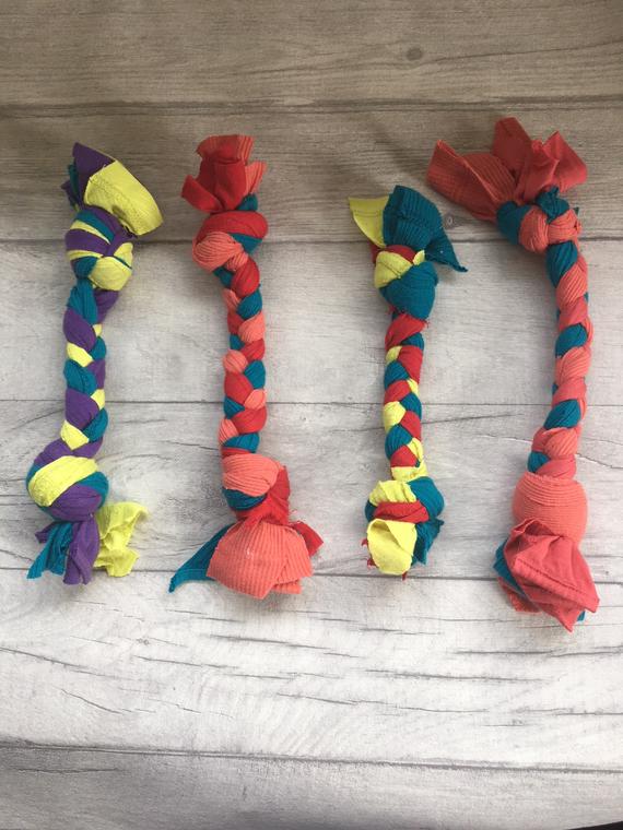 Key Club is Making Dog Toys to Benefit the Humane Society