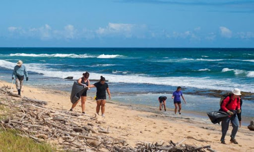 Coming Up, a Beach Clean Up!