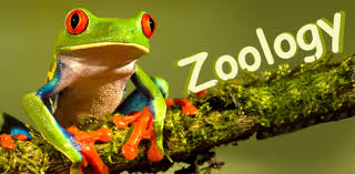 Frog standing on a branch with text that says zoology