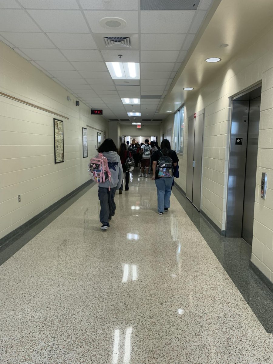 Every year, The Texas Education Agency scores campuses and school districts based off how well they are performing. This year, both Ray High School and CCISD saw increased scores.
